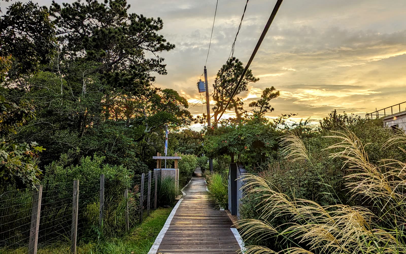 A wooden boardwalk in Fire Island Pines at sunset, ornamental grasses on either side, golden light through clouds.
